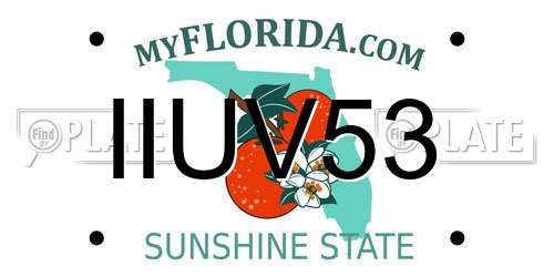 IIUV53 Florida License Plate