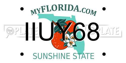 IIUY68 Florida License Plate