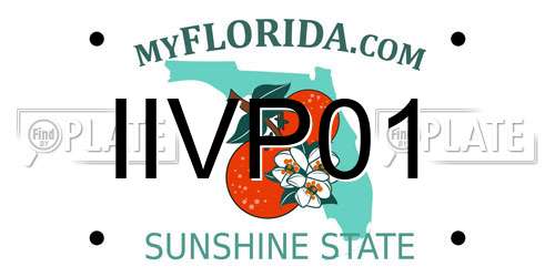IIVP01 Florida License Plate