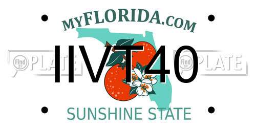IIVT40 Florida License Plate