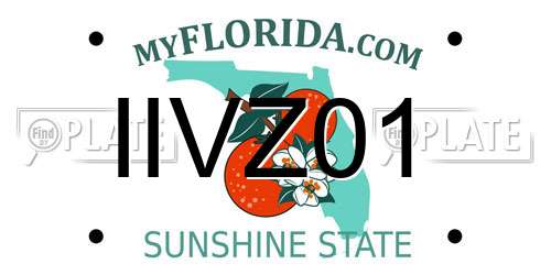 IIVZ01 Florida License Plate