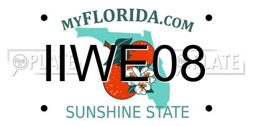 IIWE08 Florida License Plate