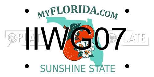 IIWG07 Florida License Plate