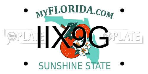 IIX9G Florida License Plate
