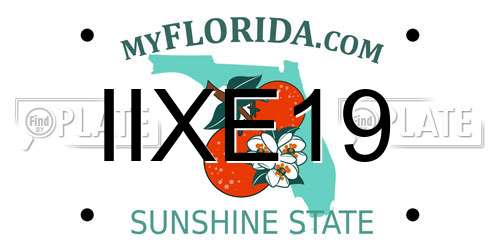 IIXE19 Florida License Plate