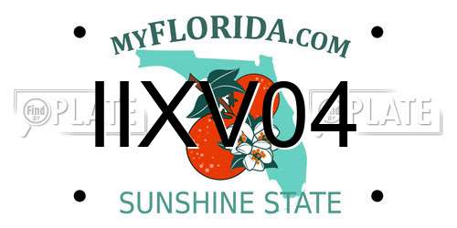 IIXV04 Florida License Plate