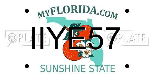 IIYE57 Florida License Plate