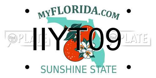 IIYT09 Florida License Plate
