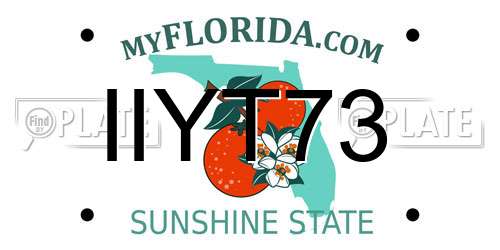 IIYT73 Florida License Plate
