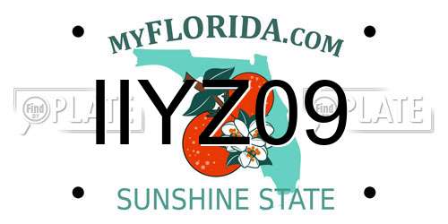 IIYZ09 Florida License Plate