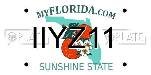 IIYZ11 Florida License Plate