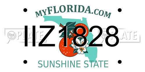 IIZ1828 Florida License Plate