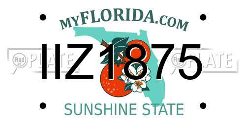 IIZ1875 Florida License Plate