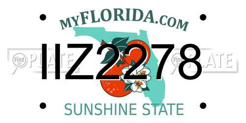 IIZ2278 Florida License Plate