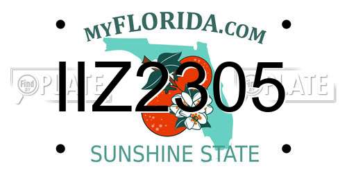 IIZ2305 Florida License Plate