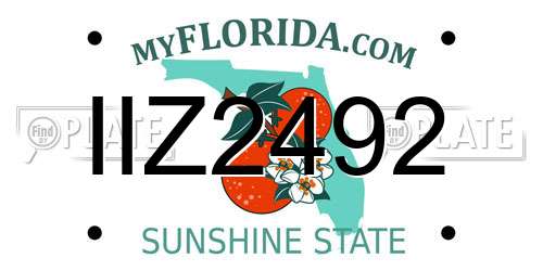 IIZ2492 Florida License Plate