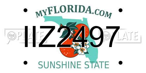 IIZ2497 Florida License Plate