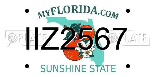 IIZ2567 Florida License Plate