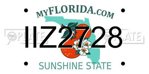 IIZ2728 Florida License Plate
