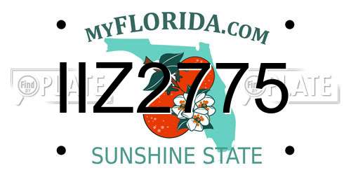 IIZ2775 Florida License Plate