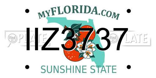 IIZ3737 Florida License Plate