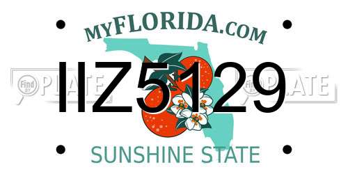 IIZ5129 Florida License Plate