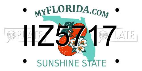 IIZ5717 Florida License Plate