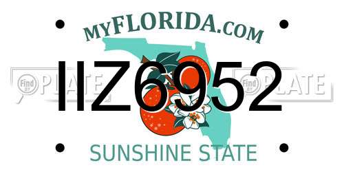 IIZ6952 Florida License Plate