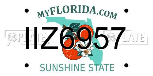 IIZ6957 Florida License Plate