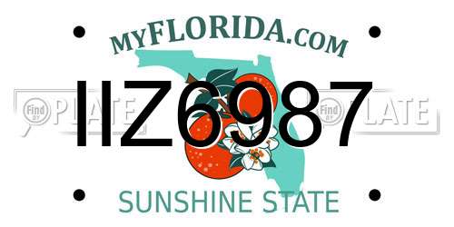 IIZ6987 Florida License Plate
