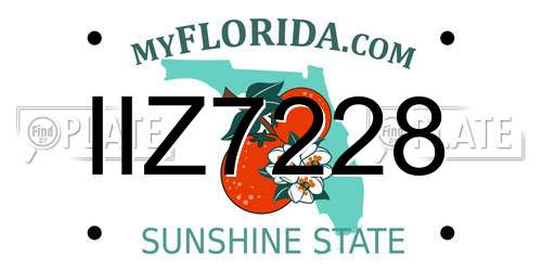 IIZ7228 Florida License Plate