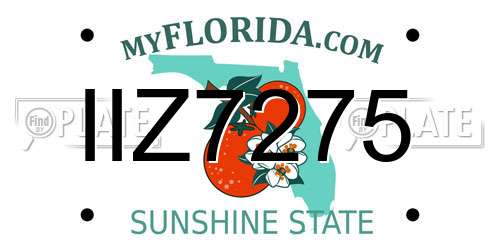 IIZ7275 Florida License Plate