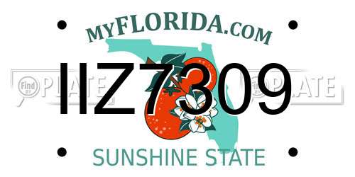 IIZ7309 Florida License Plate