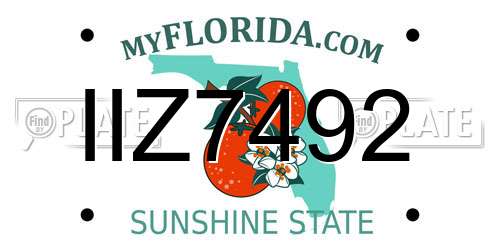 IIZ7492 Florida License Plate