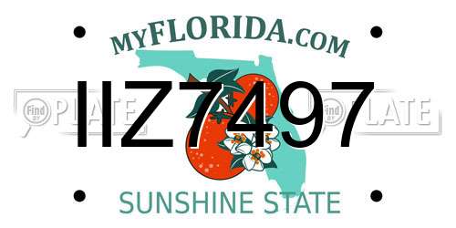 IIZ7497 Florida License Plate