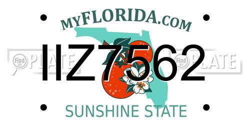 IIZ7562 Florida License Plate