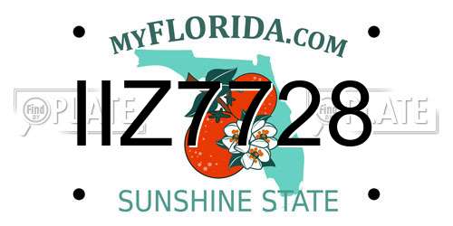 IIZ7728 Florida License Plate