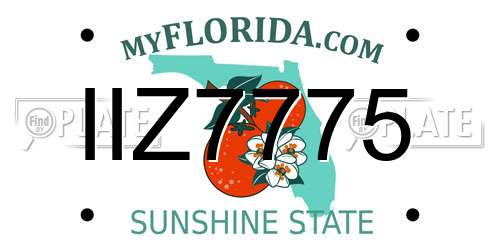 IIZ7775 Florida License Plate