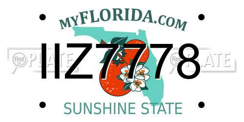 IIZ7778 Florida License Plate