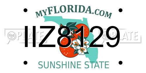 IIZ8129 Florida License Plate