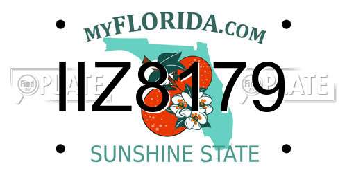 IIZ8179 Florida License Plate