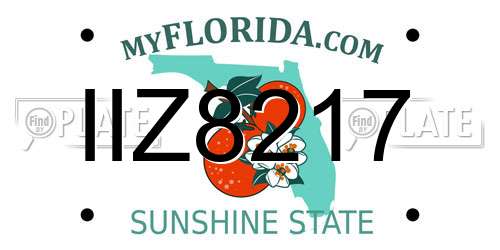 IIZ8217 Florida License Plate