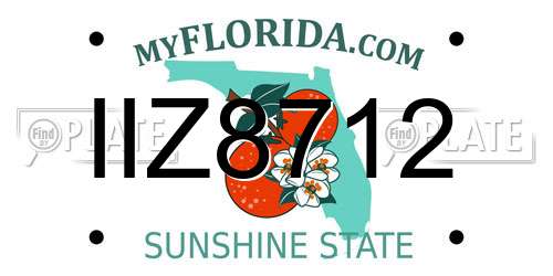 IIZ8712 Florida License Plate
