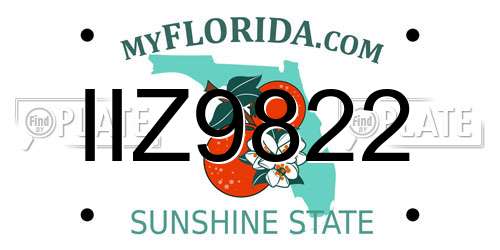 IIZ9822 Florida License Plate