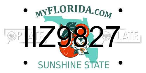 IIZ9827 Florida License Plate