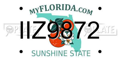 IIZ9872 Florida License Plate