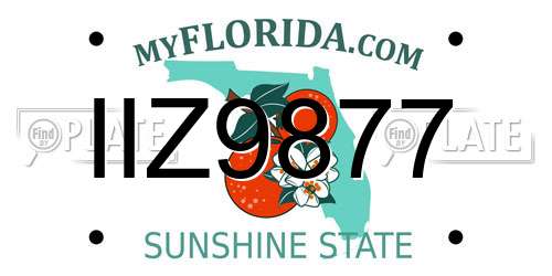 IIZ9877 Florida License Plate