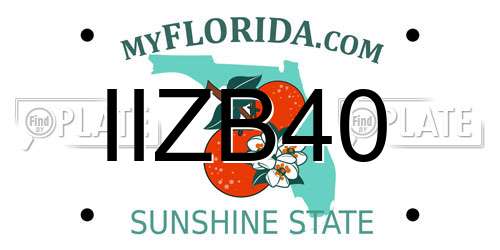 IIZB40 Florida License Plate