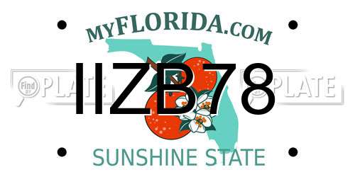 IIZB78 Florida License Plate