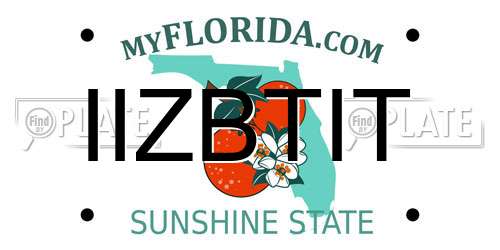 IIZBTIT Florida License Plate